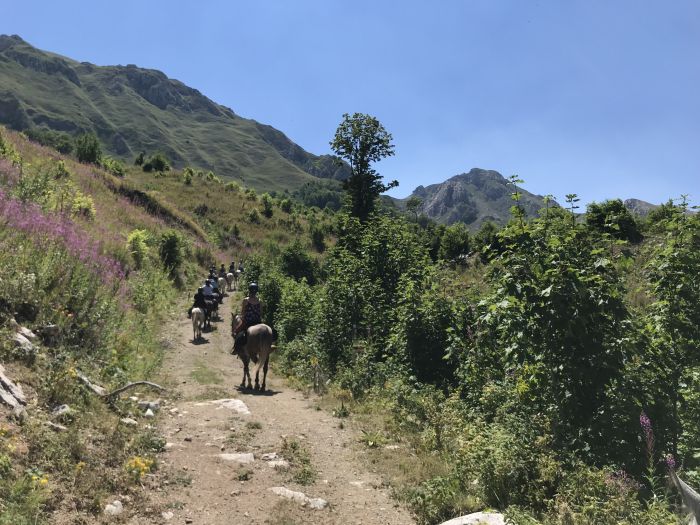 Sur les traces du Miyak