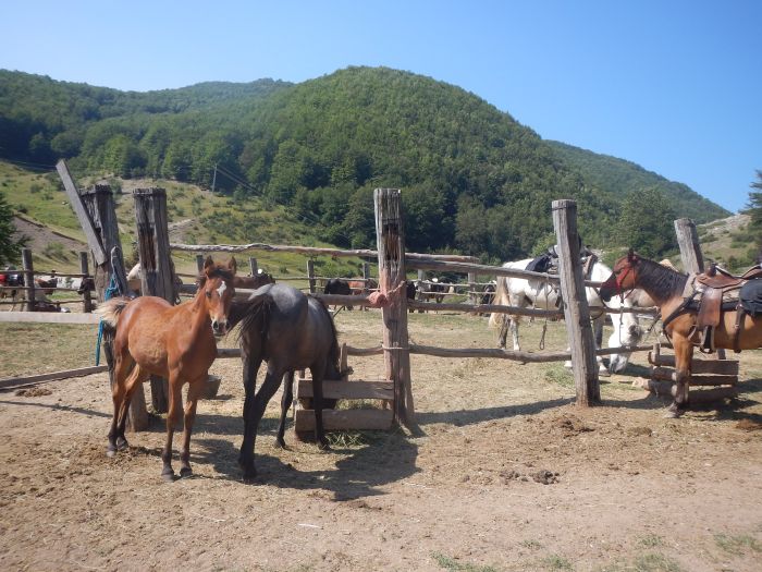 Sur les traces du Miyak