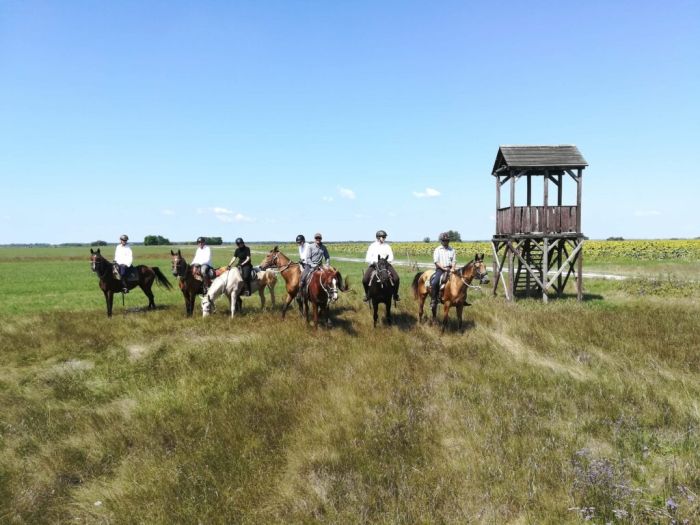 Danube-Theiss Trail