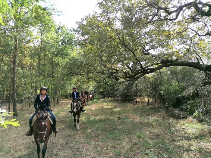 Danube-Theiss Trail