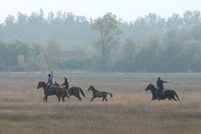 Chevauchée en étoile à travers les steppes hongroises