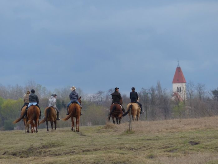 Chevauchée en étoile à travers les steppes hongroises