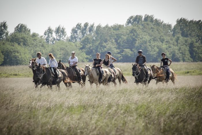 Chevauchée en étoile à travers les steppes hongroises