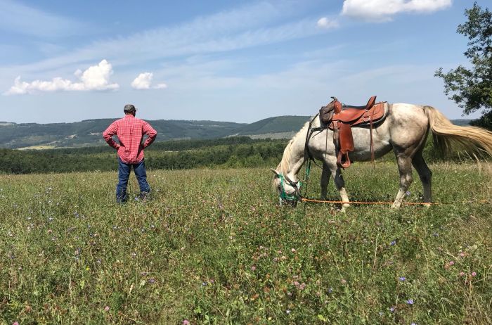 Sur les traces des Thraces