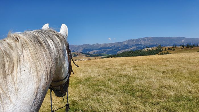 Sur les traces des Thraces