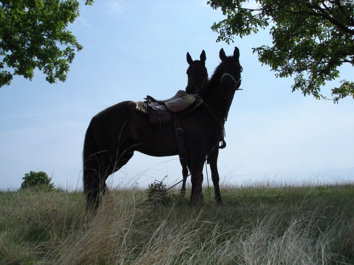 Sur les traces des Thraces
