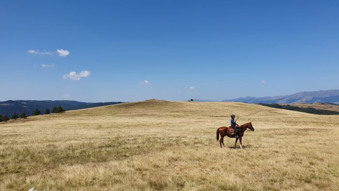 Sur les traces des Thraces