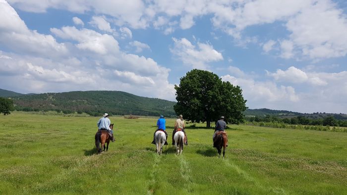 Sur les traces des Thraces