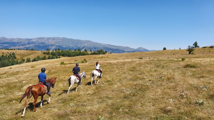 Sur les traces des Thraces