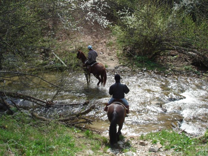 Sur les traces des Thraces