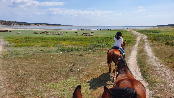 Sur les traces des Thraces