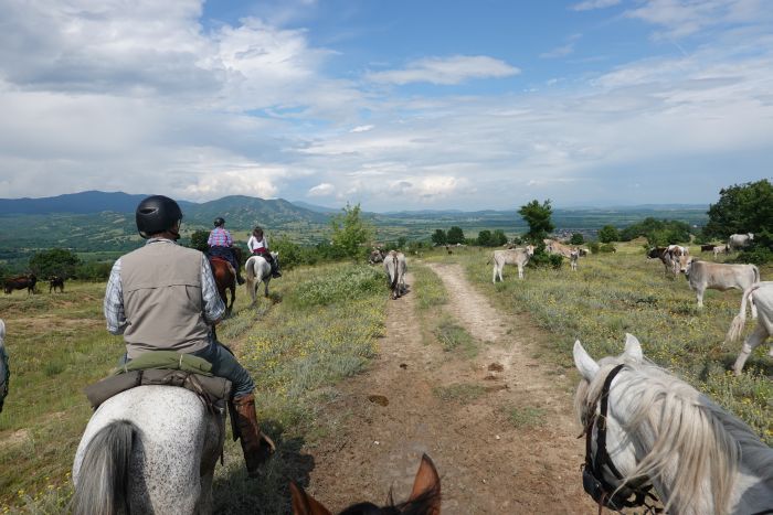 Sur les traces des Thraces