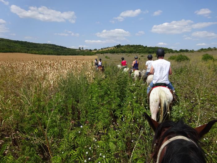 Balade dans les Balkans