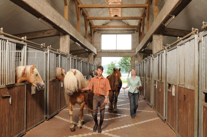 Vacances dans dans la lande du Lunebourg ( opt. avec son propre cheval)