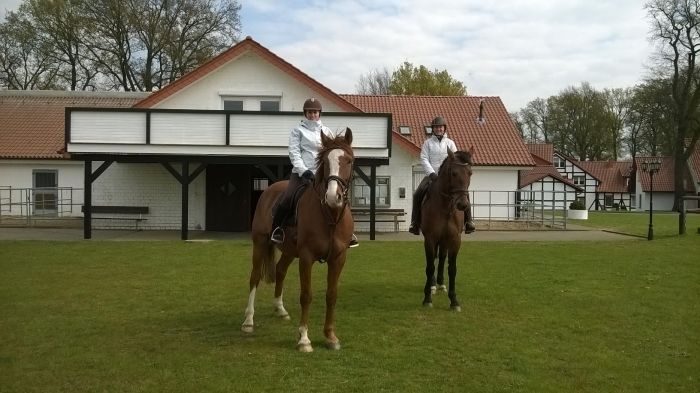Vacances dans dans la lande du Lunebourg ( opt. avec son propre cheval)