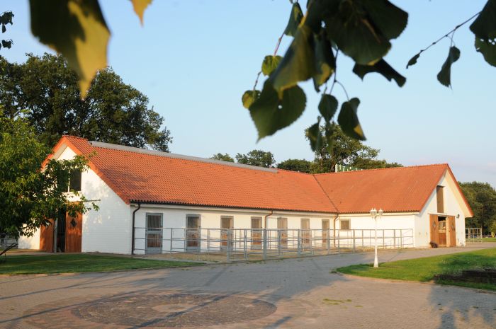 Vacances dans dans la lande du Lunebourg ( opt. avec son propre cheval)