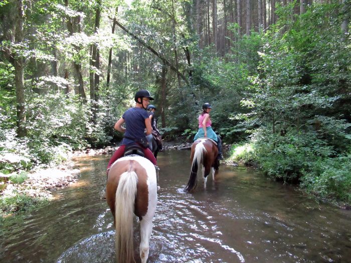 Forêt-Noire - et nouveau trail du Danube