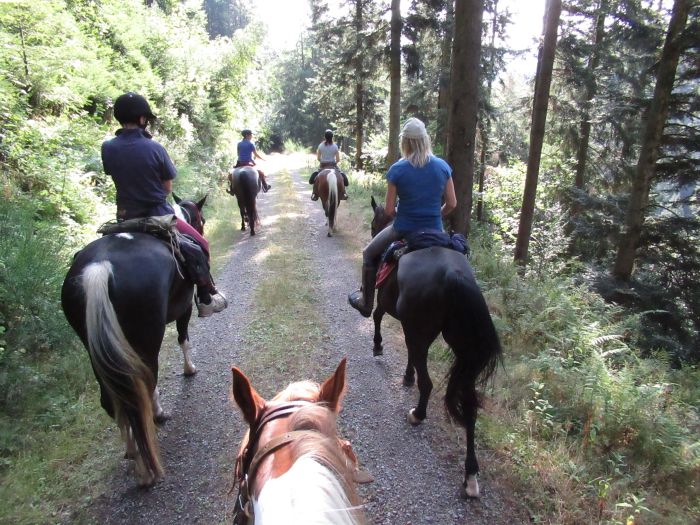 Forêt-Noire - et nouveau trail du Danube