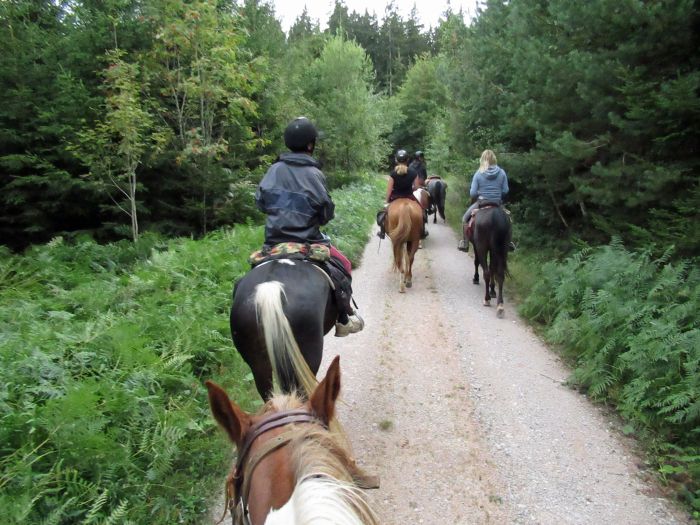 Forêt-Noire - et nouveau trail du Danube
