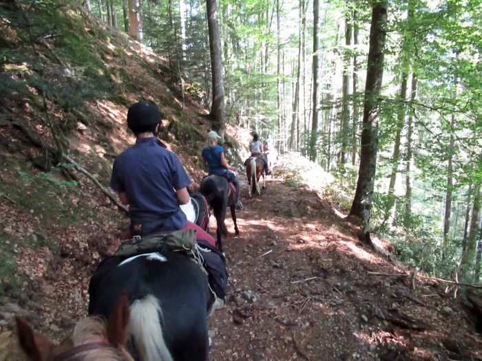 Forêt-Noire - et nouveau trail du Danube
