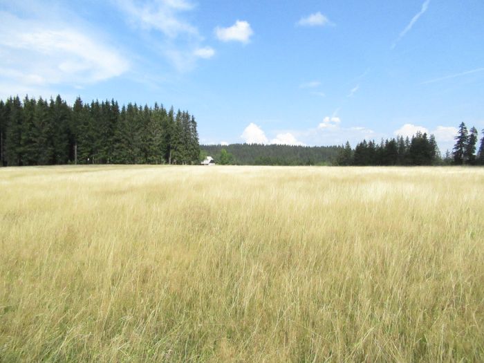 Forêt-Noire - et nouveau trail du Danube