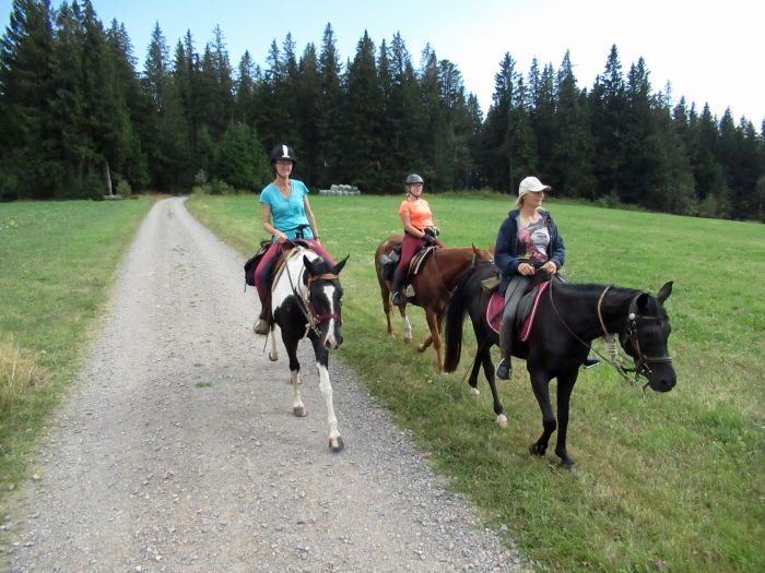 Forêt-Noire - et nouveau trail du Danube
