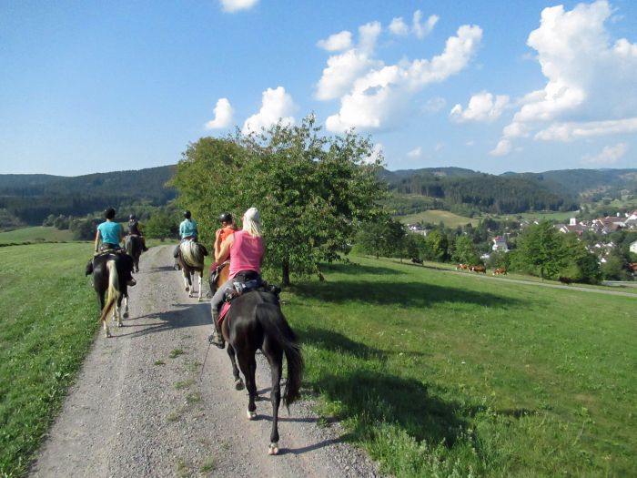 Forêt-Noire - et nouveau trail du Danube