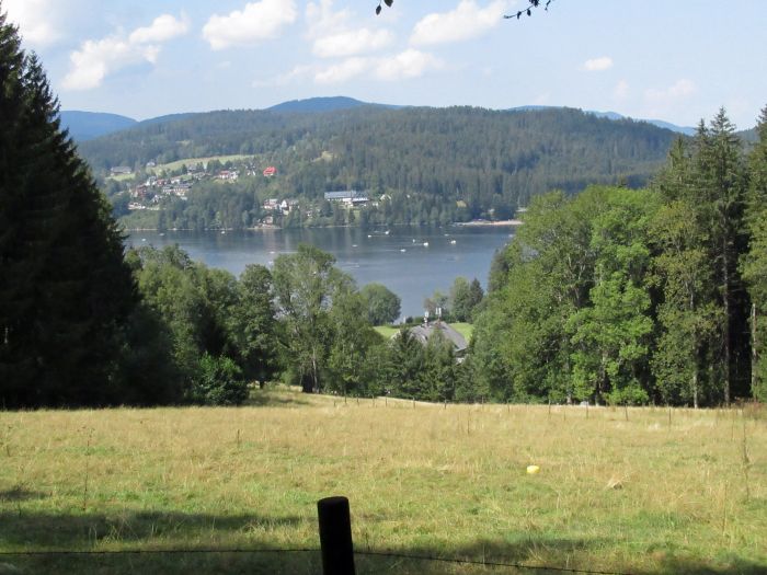 Forêt-Noire - et nouveau trail du Danube