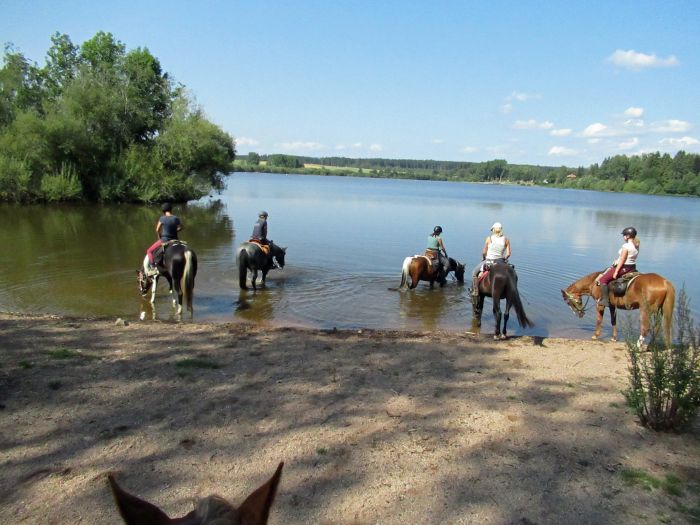 Forêt-Noire - et nouveau trail du Danube