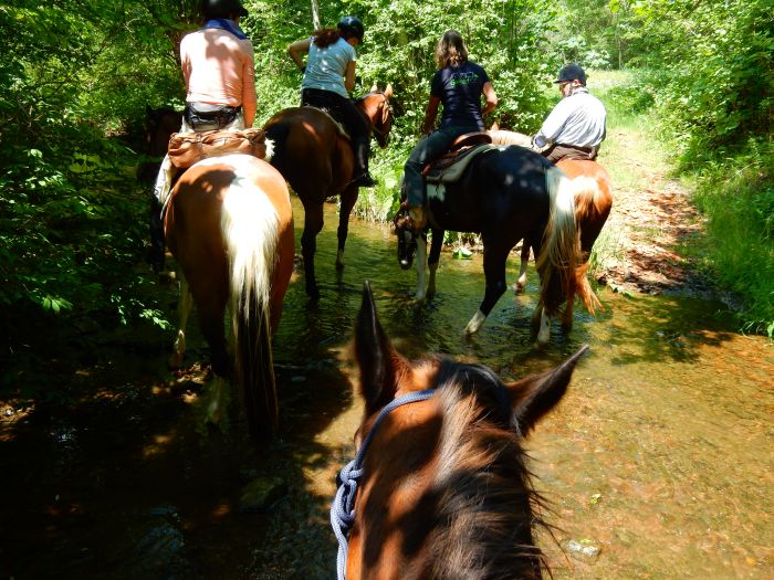 Forêt-Noire - et nouveau trail du Danube