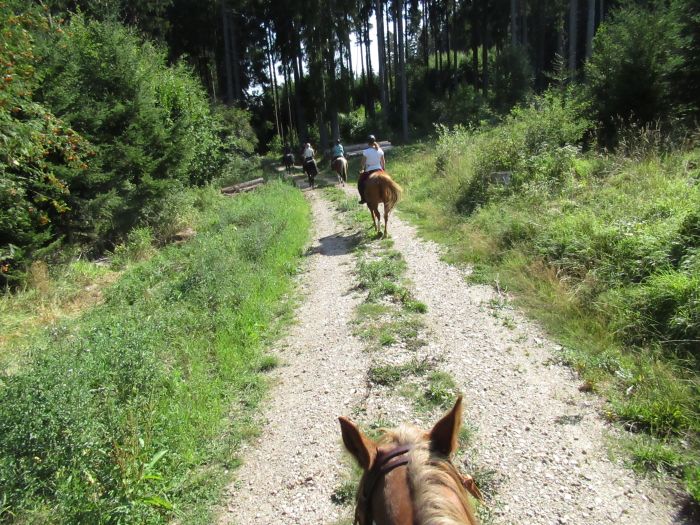 Forêt-Noire - et nouveau trail du Danube