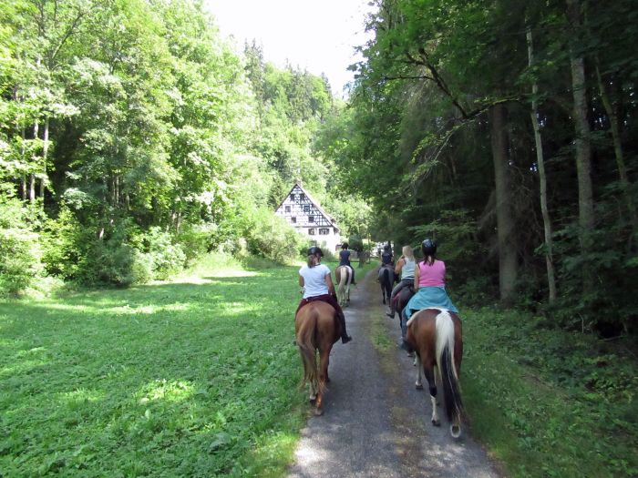 Forêt-Noire - et nouveau trail du Danube
