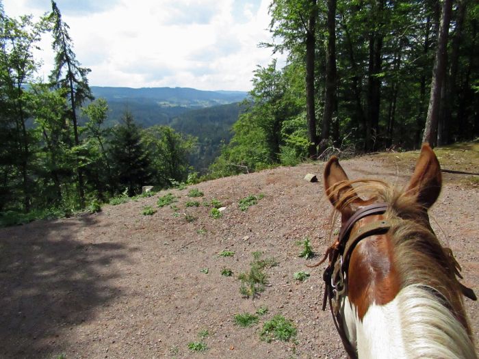 Forêt-Noire - et nouveau trail du Danube