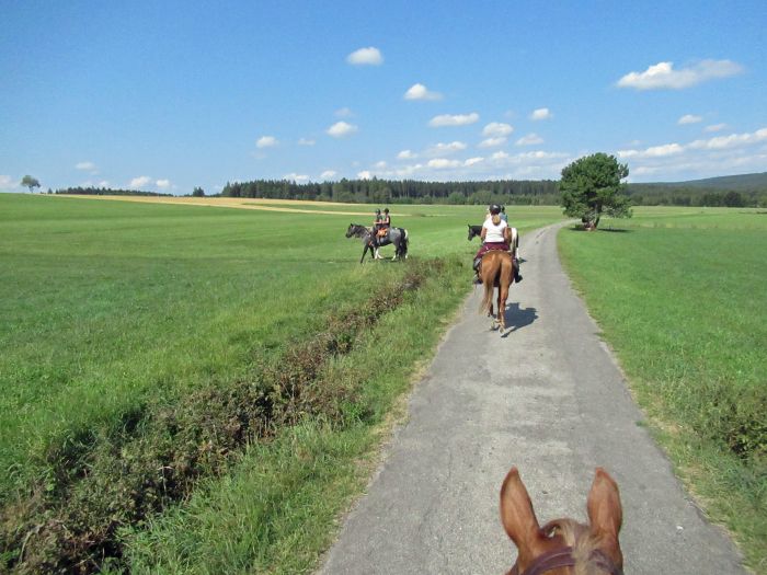 Forêt-Noire - et nouveau trail du Danube