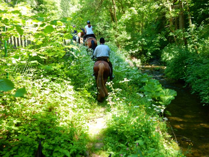 Forêt-Noire - et nouveau trail du Danube