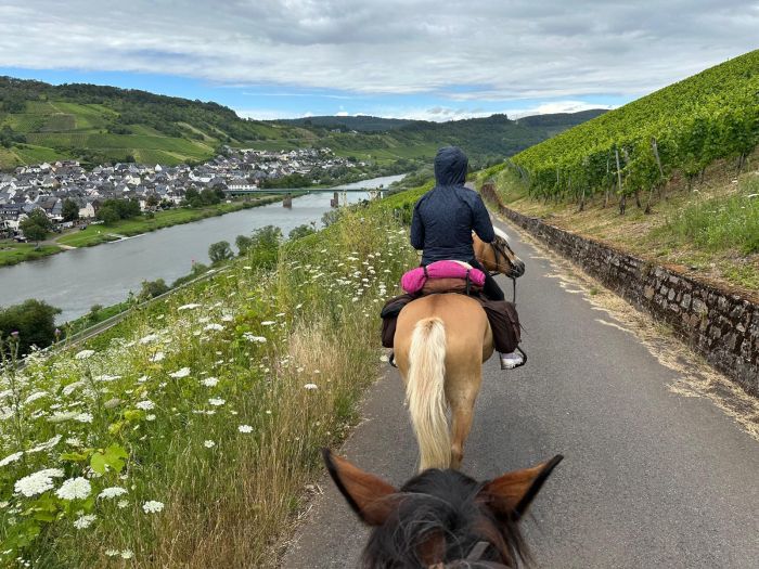 Chevauchées de rêve dans le Hunsrück et le Palatinat du Nord
