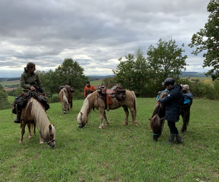 Chevauchées de rêve dans le Hunsrück et le Palatinat du Nord