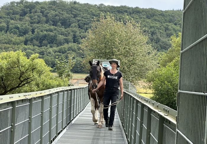 Chevauchées de rêve dans le Hunsrück et le Palatinat du Nord