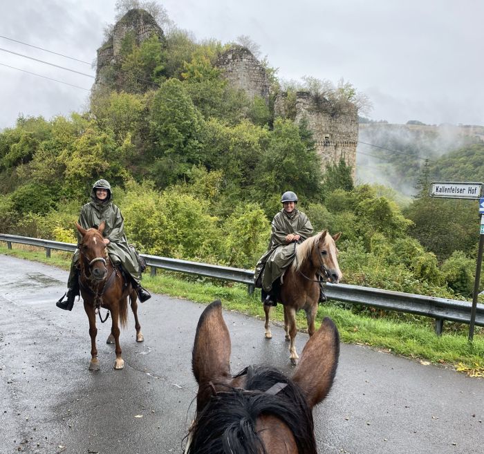 Chevauchées de rêve dans le Hunsrück et le Palatinat du Nord