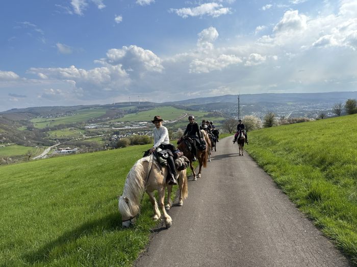 Chevauchées de rêve dans le Hunsrück et le Palatinat du Nord