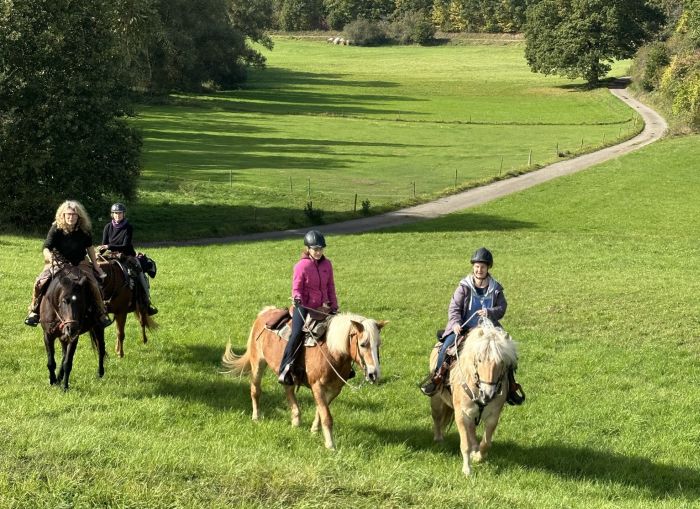 Chevauchées de rêve dans le Hunsrück et le Palatinat du Nord
