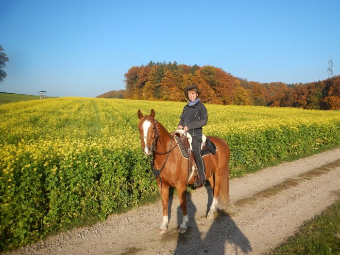 Chevauchées de rêve dans le Hunsrück et le Palatinat du Nord