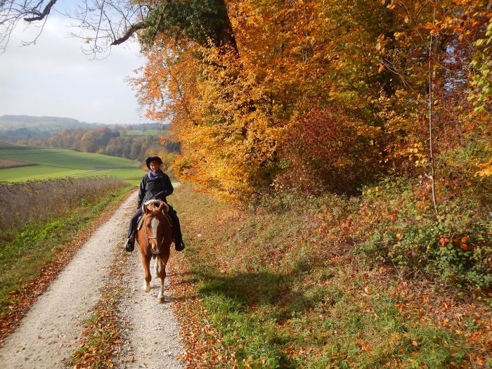 Chevauchées de rêve dans le Hunsrück et le Palatinat du Nord