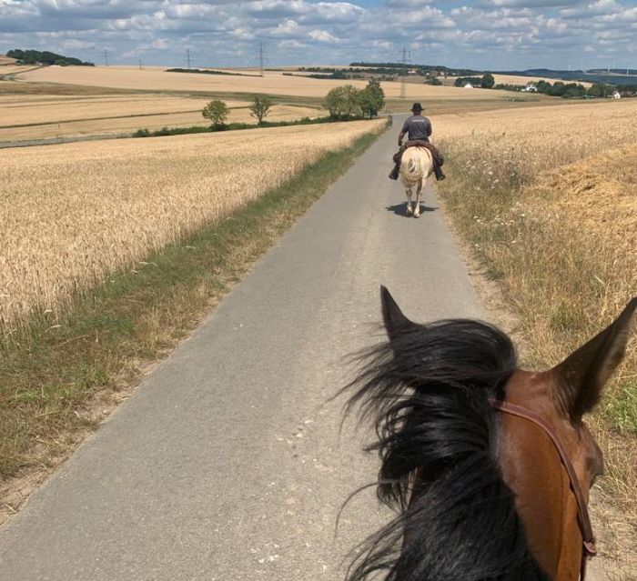 Chevauchées de rêve dans le Hunsrück et le Palatinat du Nord