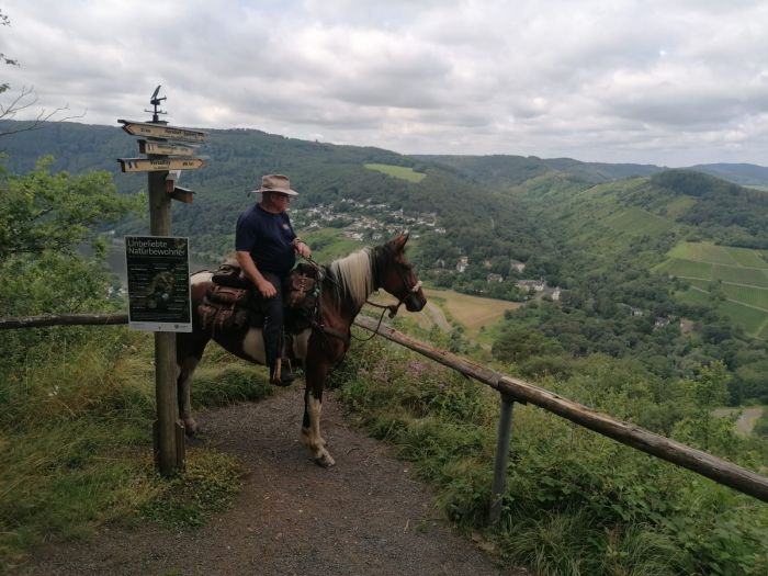 Chevauchées de rêve dans le Hunsrück et le Palatinat du Nord