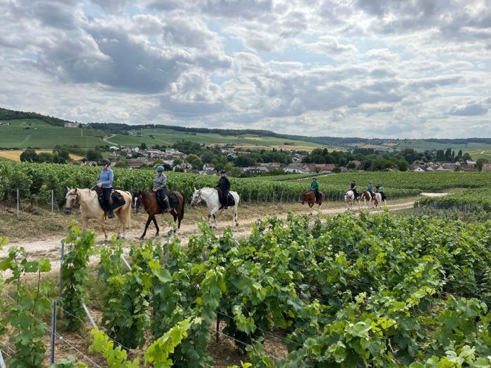 Chevauchée pétillante à travers la Champagne