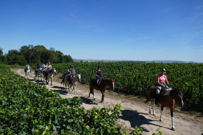 Chevauchée pétillante à travers la Champagne