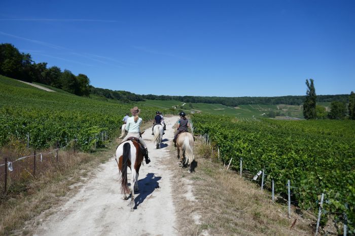 Chevauchée pétillante à travers la Champagne