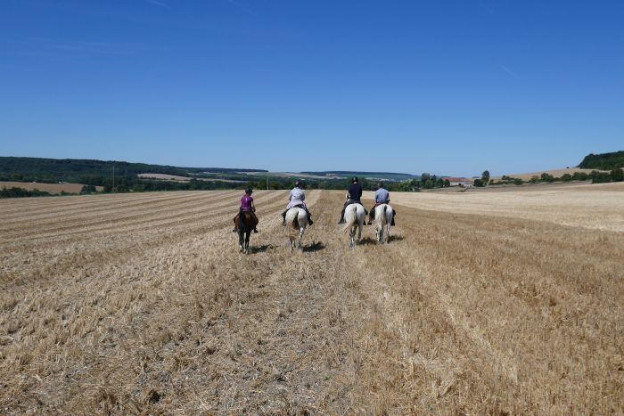 Chevauchée pétillante à travers la Champagne