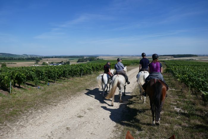 Chevauchée pétillante à travers la Champagne